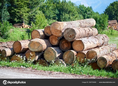 Как выбрать деревообрабатывающий станок?