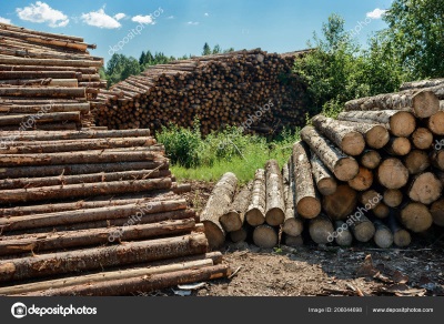 Деревообрабатывающая промышленность мира