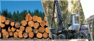 Деревообрабатывающая промышленность России выходит на качественно новый уровень